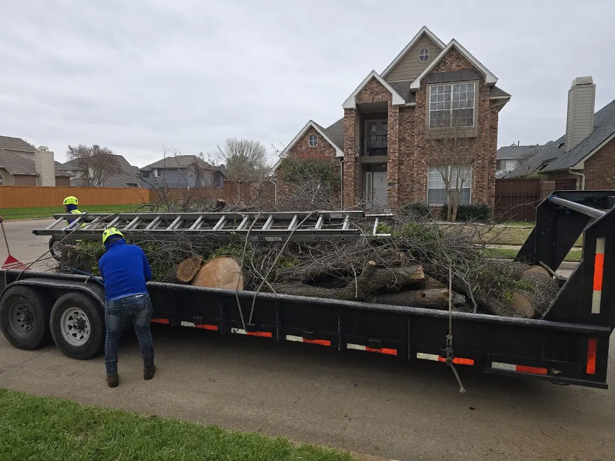 Expert Deadwooding with proper safety equipment in Richfield